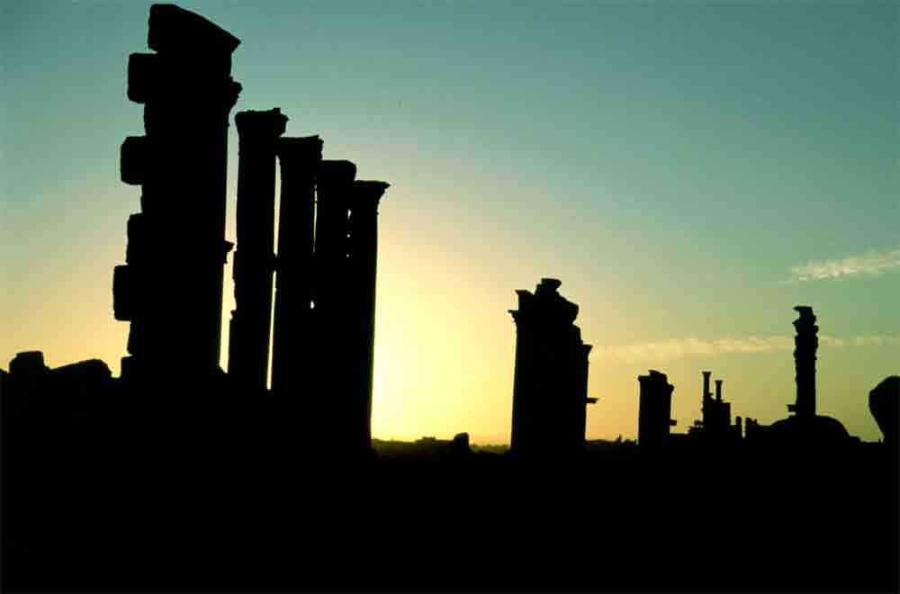 17 - Siria - Palmira, amanecer